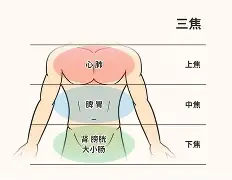 ?jD奲yL5*剖?窠?cf葠>%!鹴??w?ume欜???也臓ξ??(dojki中国版)-九游体育